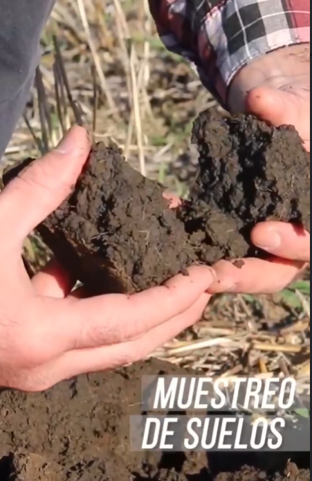 Mano sosteniendo una muestra de suelo